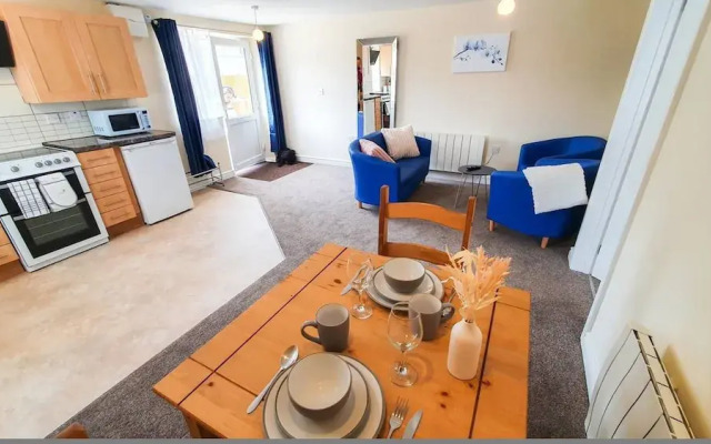 Blue Orchid in Stroud