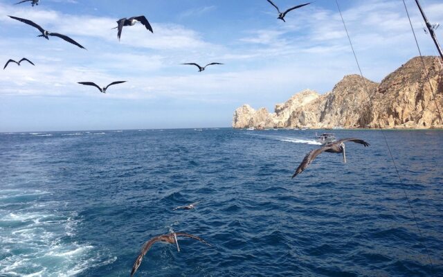 Hyatt Place Los Cabos