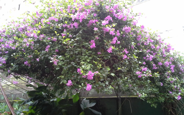 Ecopousada Miriti