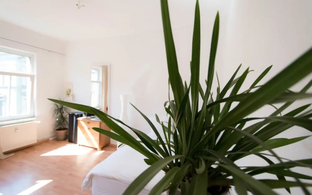 Peters Wohnung