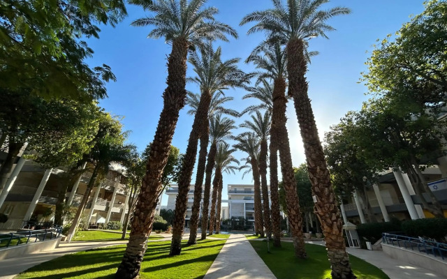 Royal Park - Paul's Place