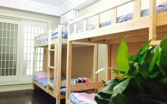 Volga Fish International Youth Hostel