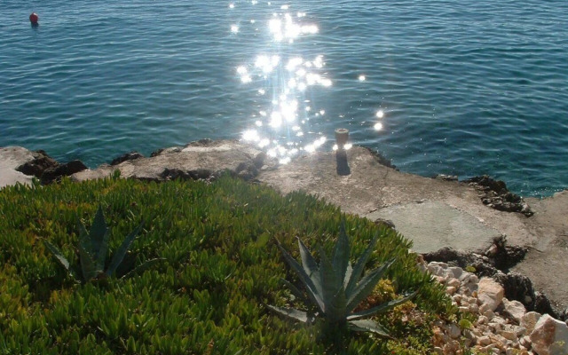 Tonka - 10 m From Beach - A2