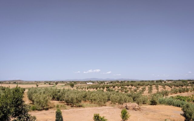 Agriturismo Bio Podere 109 - Wine & Food