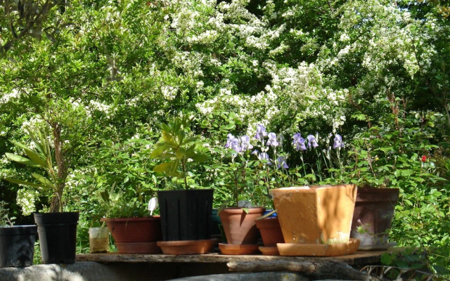 Il Melograno Bed & Breakfast