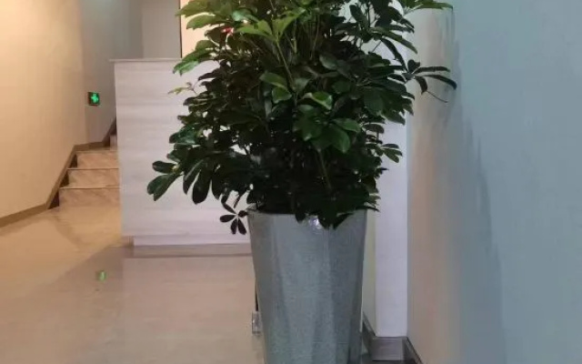 Hongrui Hotel (Tumor Hospital) – Hotel Rooms – Taiyuan