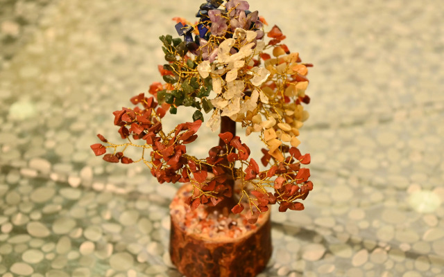 SOHANAs Homestays- 2 BHK Apartment with Terrace near Jaipur International Airport