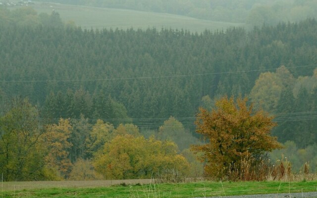 Chalet in Gerolstein With Forest