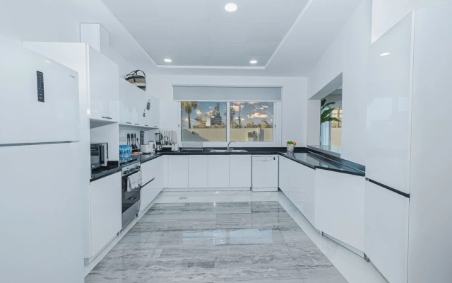 LUX White Modern Villa