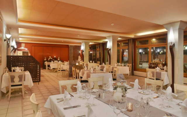 Hôtel des Vignes