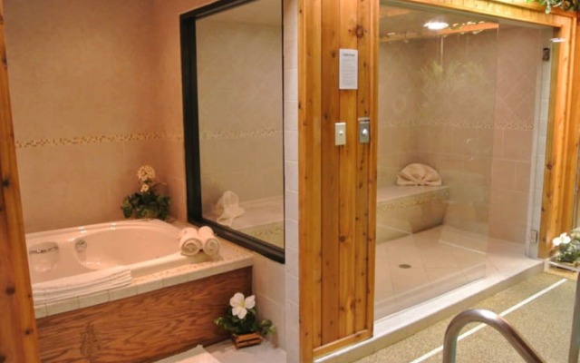 Sybaris Pool Suites Indianapolis