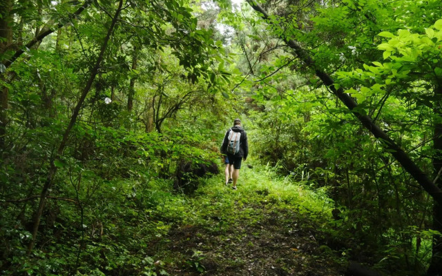 HÏSOM - Vacation STAY 19778v