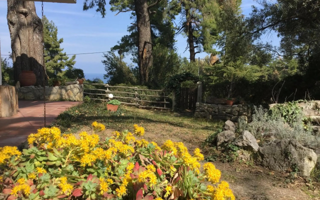 Wild Oaks Cottage