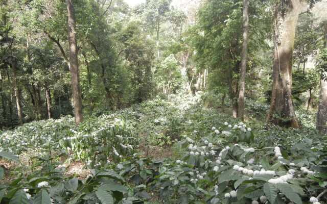 Amritasthanam Guest House And Retreat
