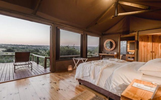 Hlosi Game Lodge - Amakhala Game Reserve