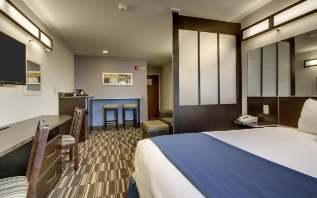 Microtel Inn & Suites by Wyndham Tuscaloosa Near University
