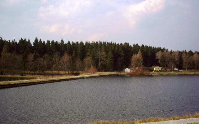 Wooden bungalow with oven, in Oberharz near a lake