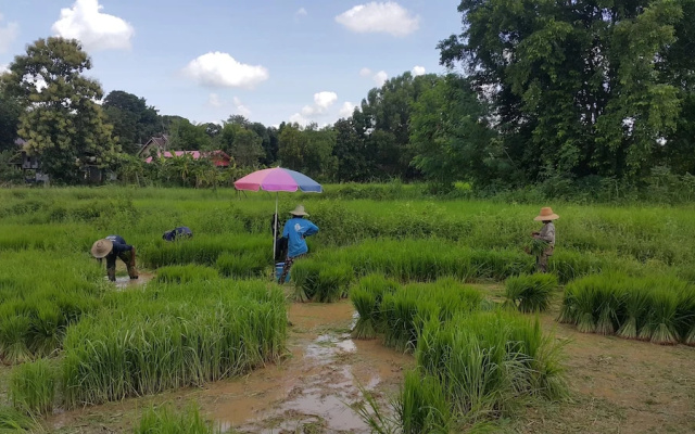 Khemmarat Baandin Resort
