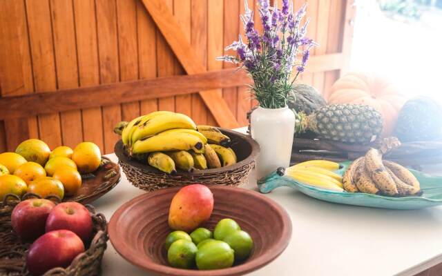 Morada das Bromélias