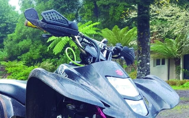 Nature inn Madeira - Glamping