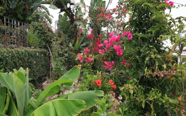 The Green Ginger Guest House