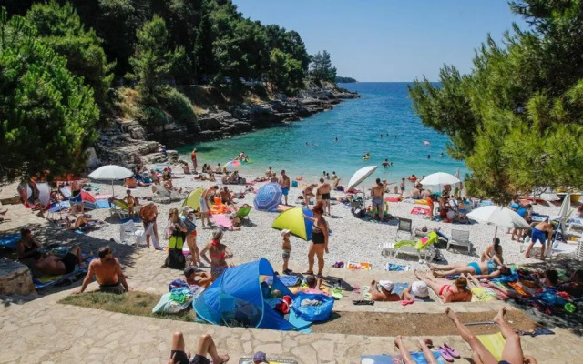 Two bedroom apartment, nice neighborhood, free parking, WiFi