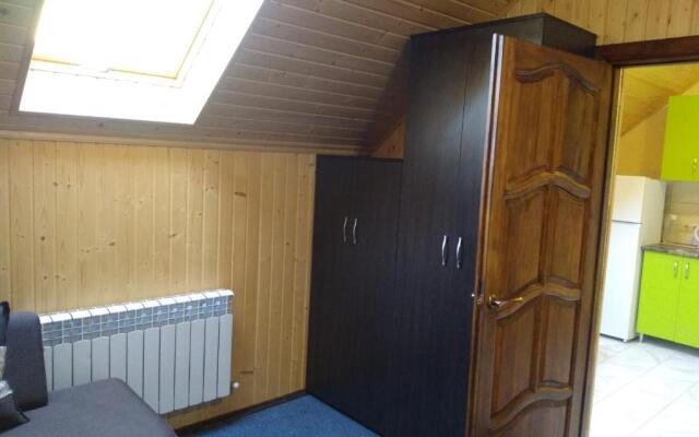 Apartments in Polyana