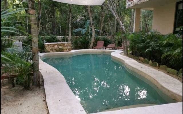 Jungle Penthouse