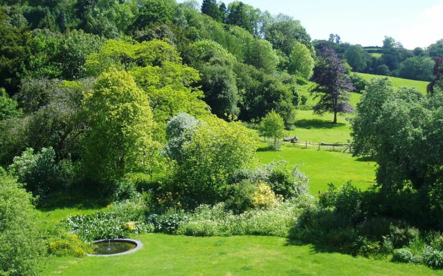 The Forest Country House B&B