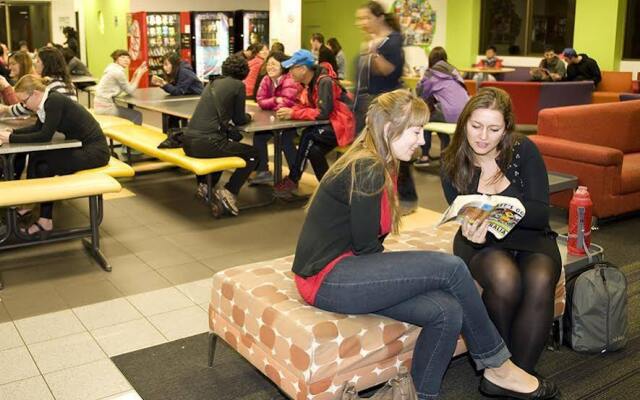 The Greenhouse Backpacker