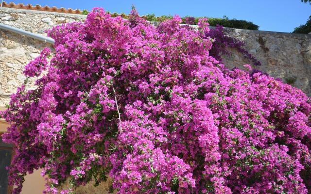 Agroturismo Finca Dalt Murada