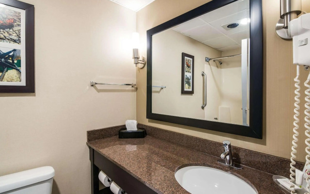 Clarion Pointe Jamestown - Falconer