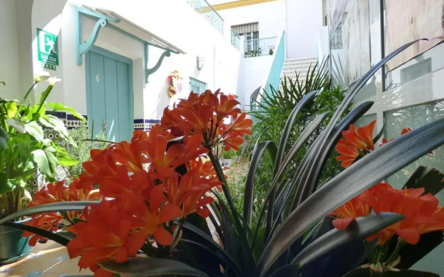 Hostal Campo Nuevo