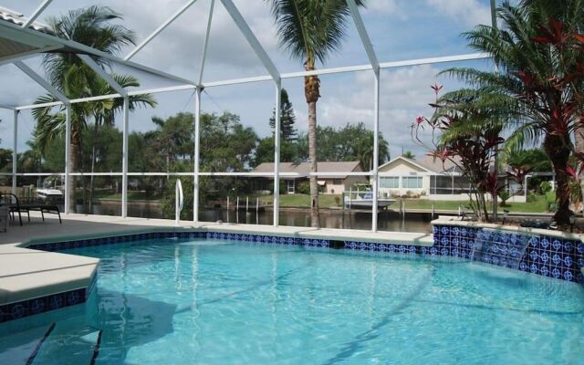 House Sunflower by Vacationhit