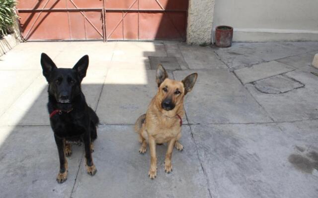 Habitacion 2 acceso independiente y autonomo Puebla