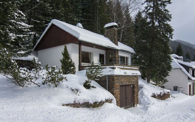 Peaceful Holiday Home in Seewiesen Near Ski Area