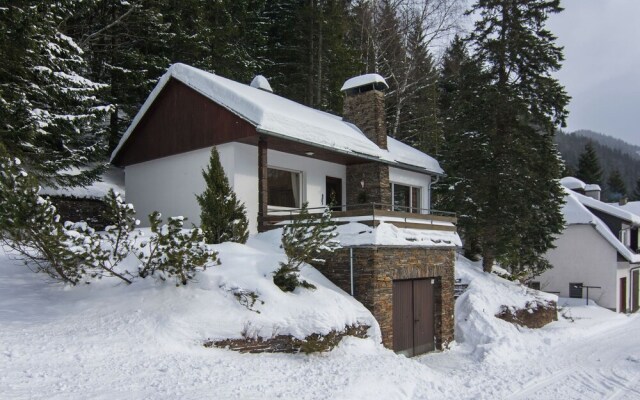 Peaceful Holiday Home in Seewiesen near Ski Area
