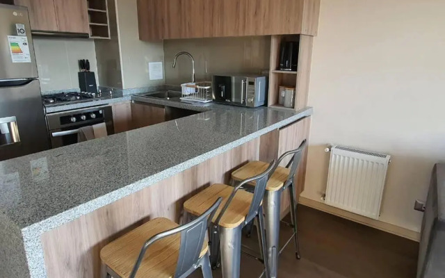 Dpto 17 vip excelente ubicación con estacionamiento