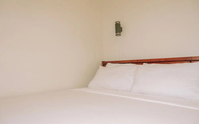 Spacious & Cozy Urban Oasis