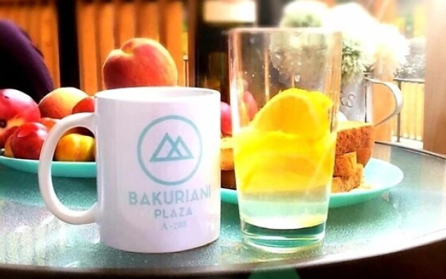 Bakuriani Plaza B-217