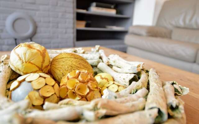 A Recently Renovated Accommodation in the Charming Village of Haringe