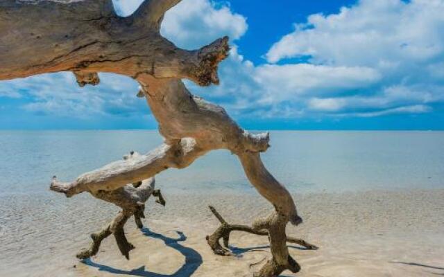 Casa Da Colina Hostel And Lifestyle