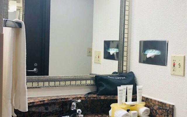 Holiday Inn Chicago - Schaumburg by IHG