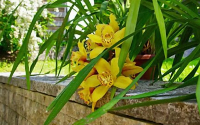 Hotel Alpenblick Garni