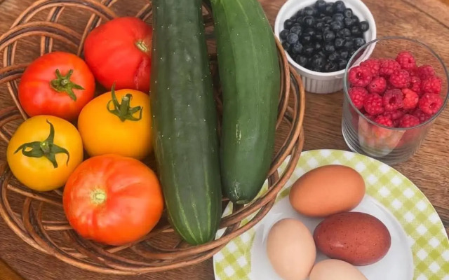 Bull-August gård vandrarhem/hostel