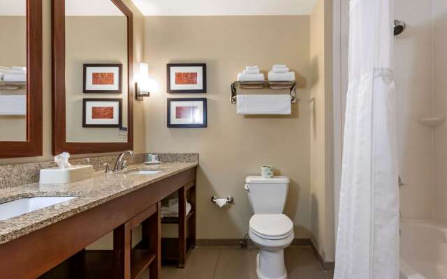 Comfort Suites Airport - University