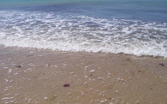 Escales dans les dunes