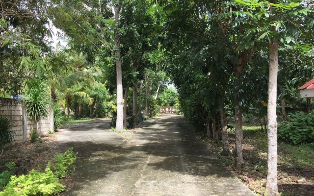 Olman's View Resort