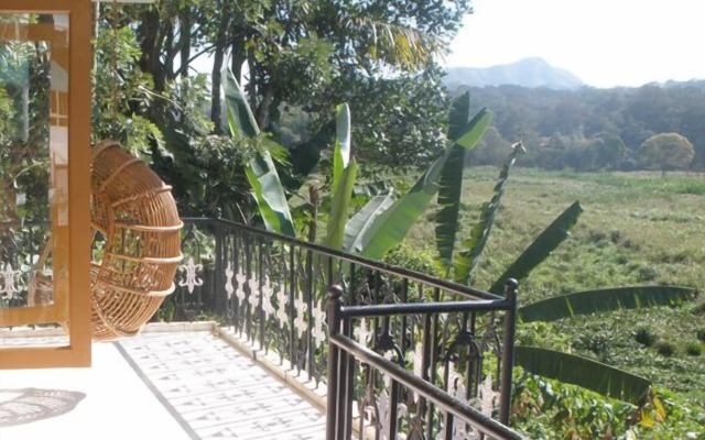Jungle Palace Homestay