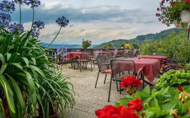 Panorama-Landgasthof Ranzinger